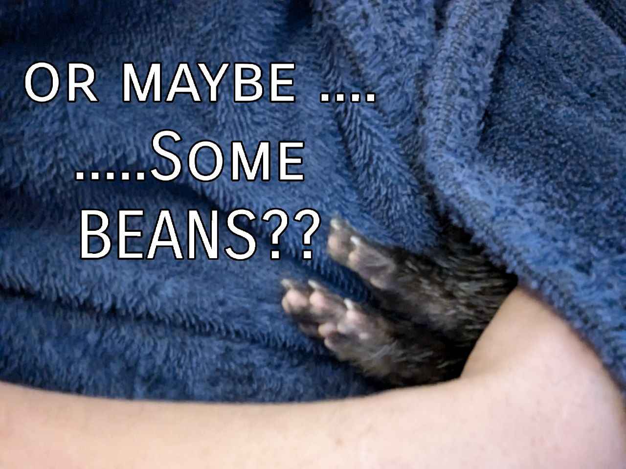 Memes Worth Noting: We've got the good stuff!