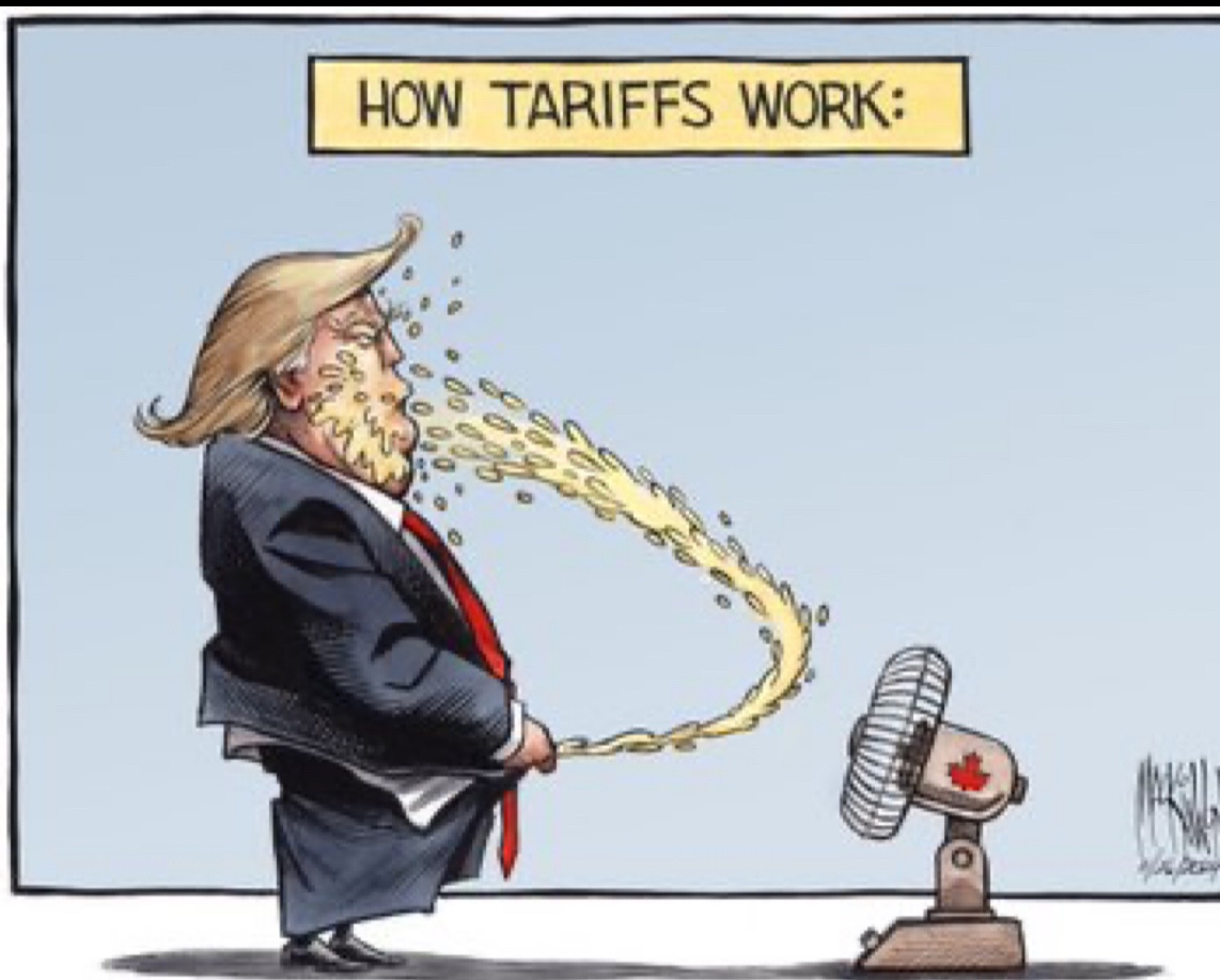 Oh Trumpy Boy, What a Disastrous Journey!