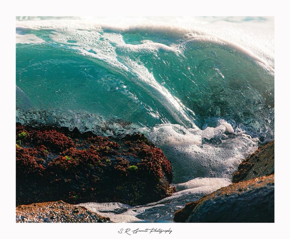 Catch the Wave!
