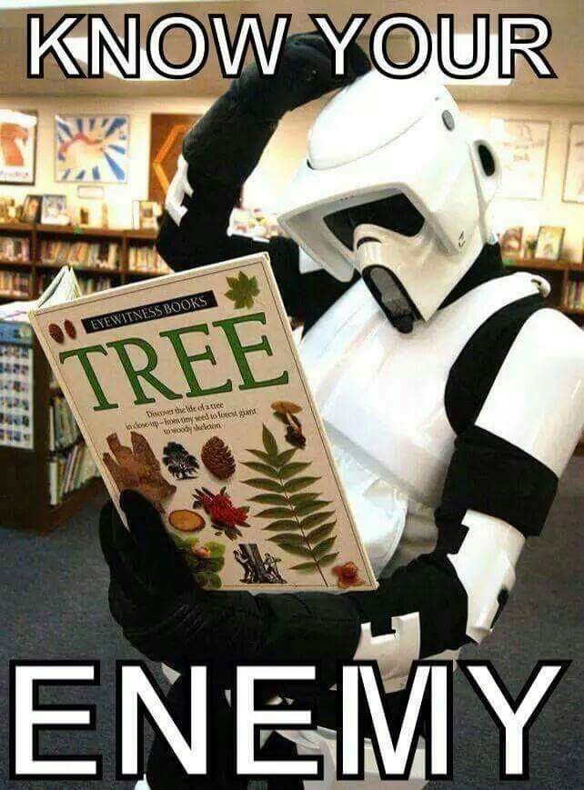 Is This Science Fiction or Just a Trophy Grab?