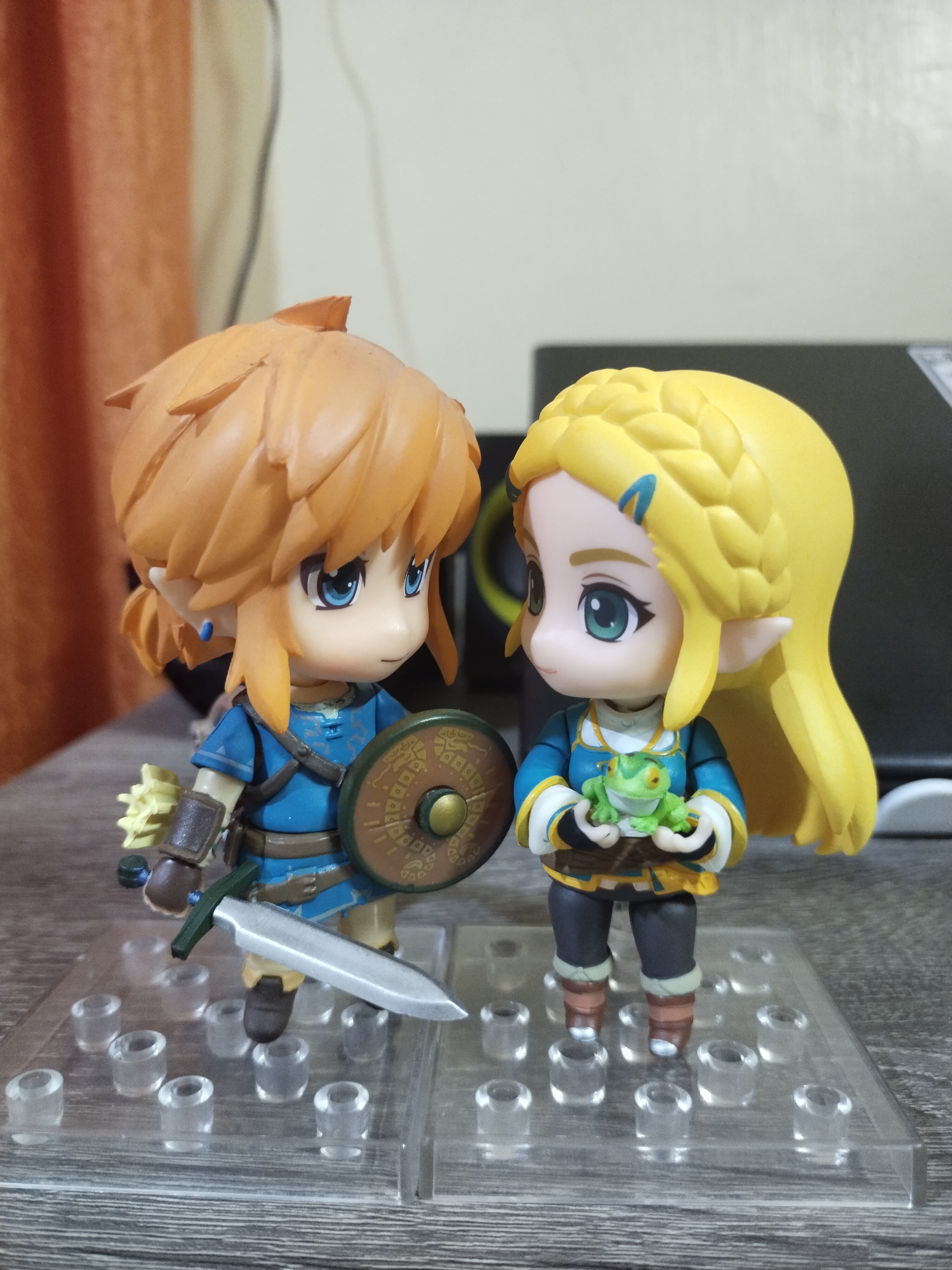 I Helped Link Rescue His Princess!