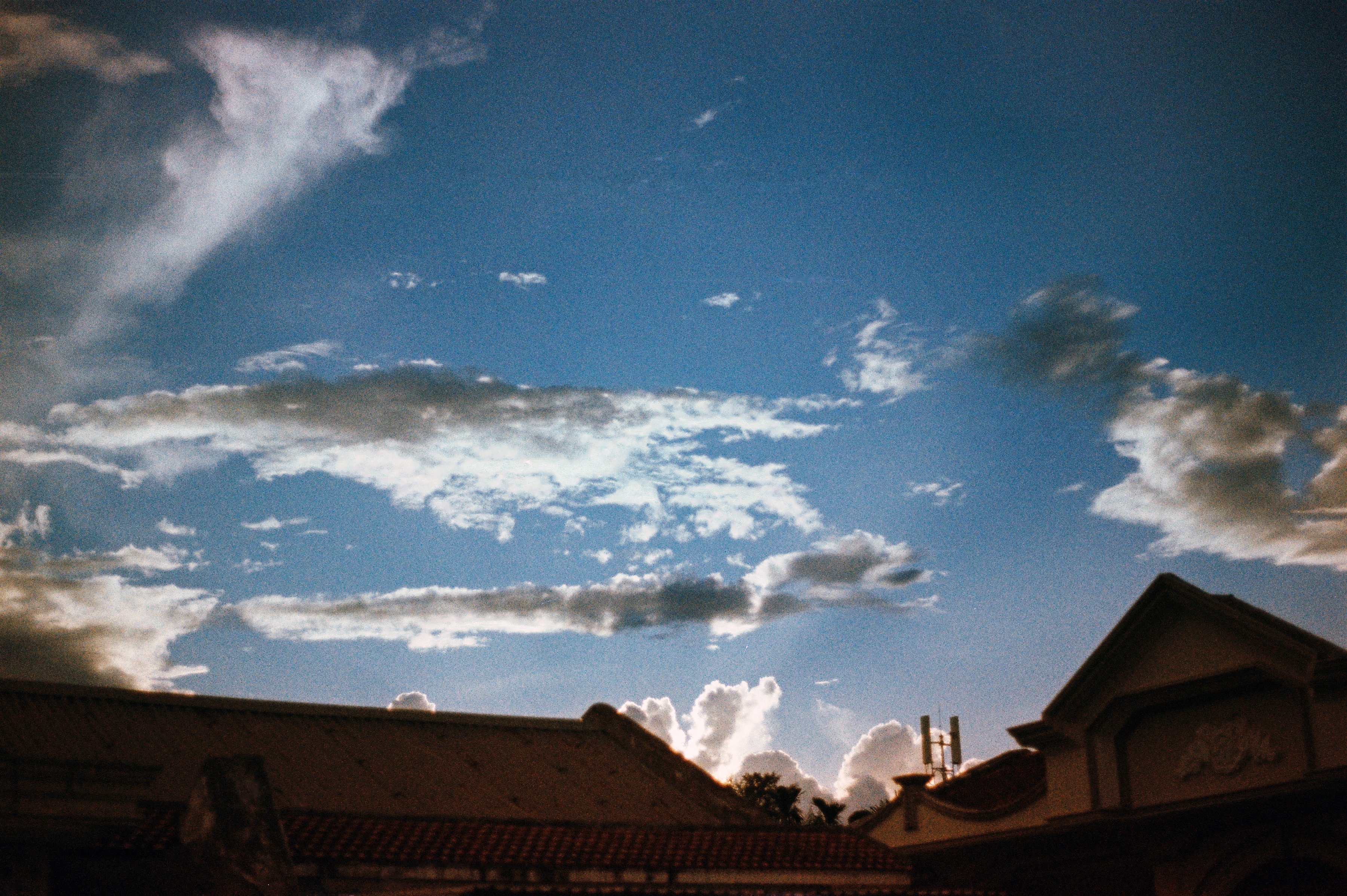 Velvia 100 36 2012 with ISO 50