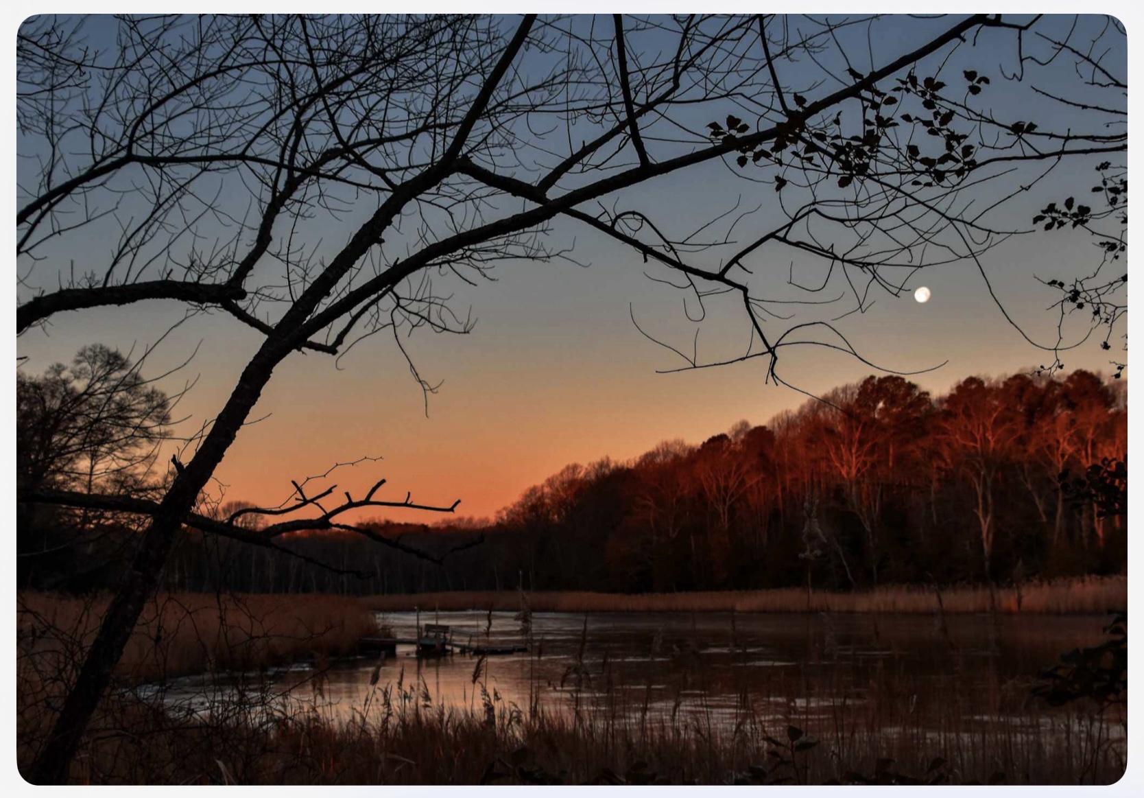 Exploring the Beauty of Salt Marshes