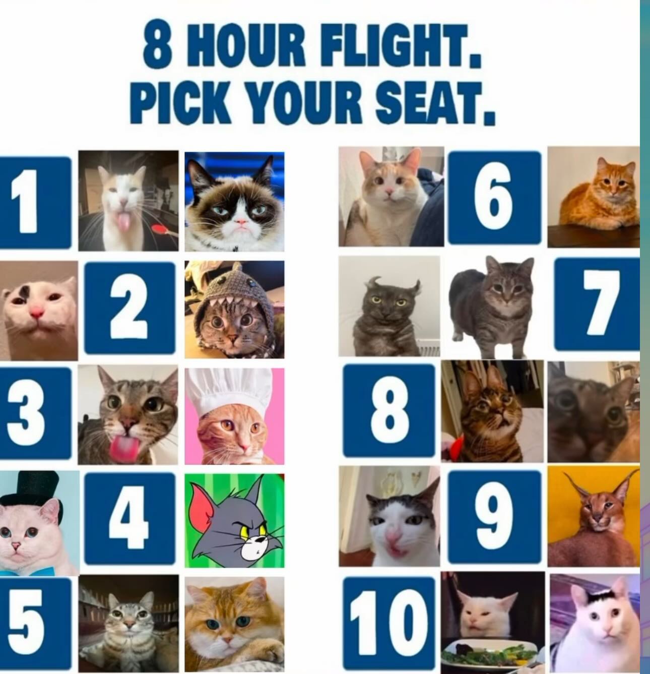 Choose Your Perfect Spot
