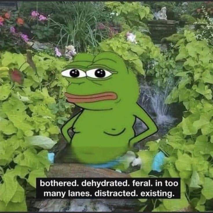 It's Wednesday, My Dudes: Midweek Madness!