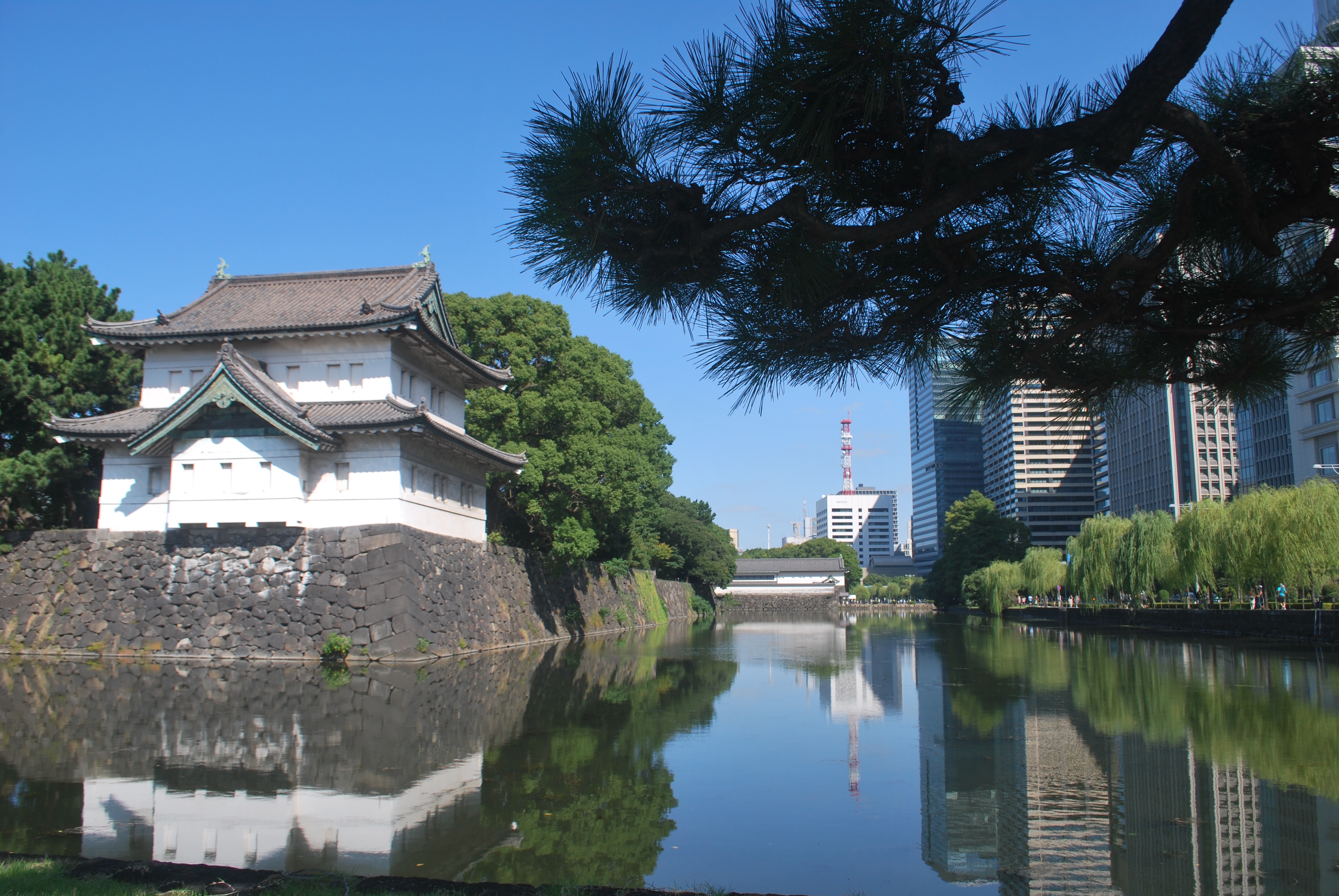 Exploring the Wonders of Japan