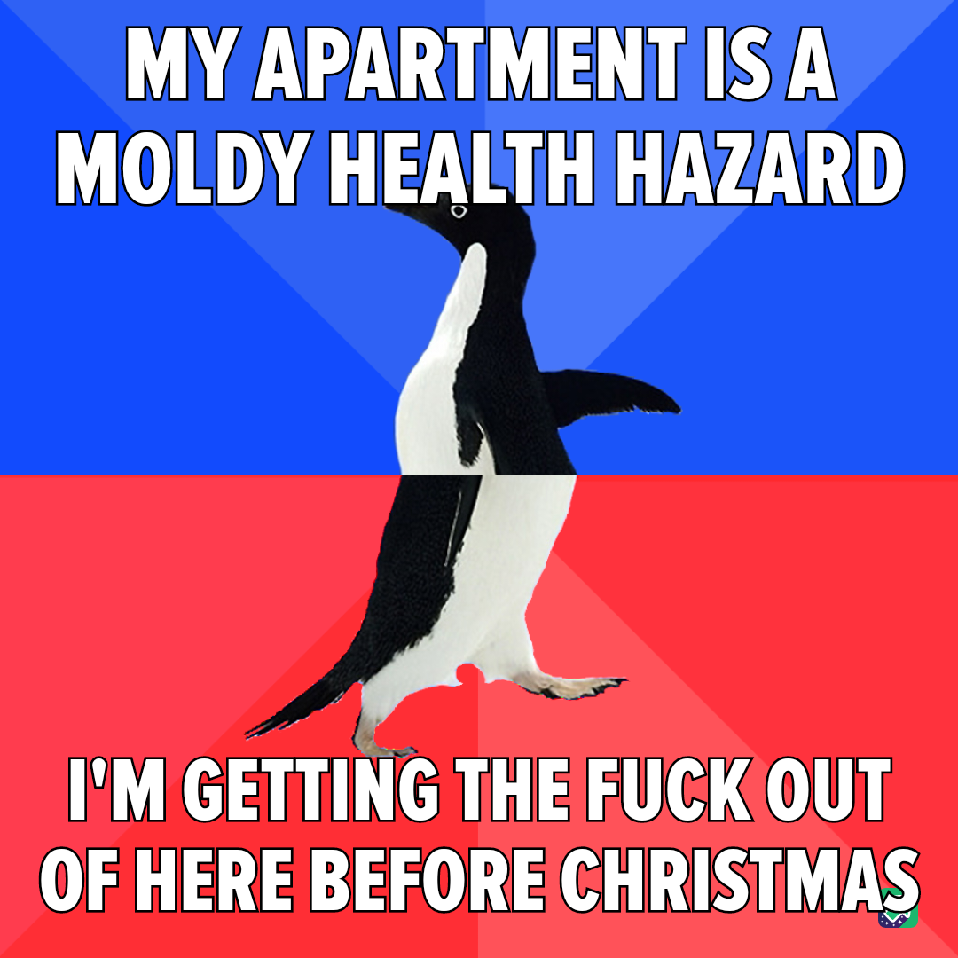 The Struggles of Dealing with Landlords