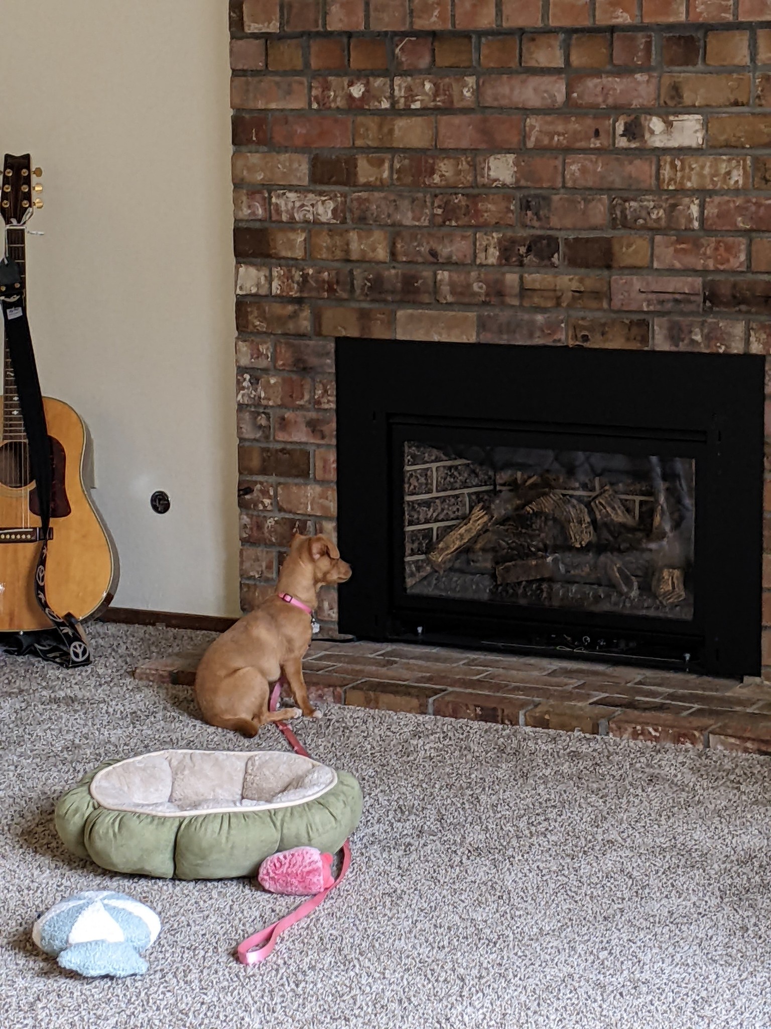 Summoning the Warmth of the Fireplace