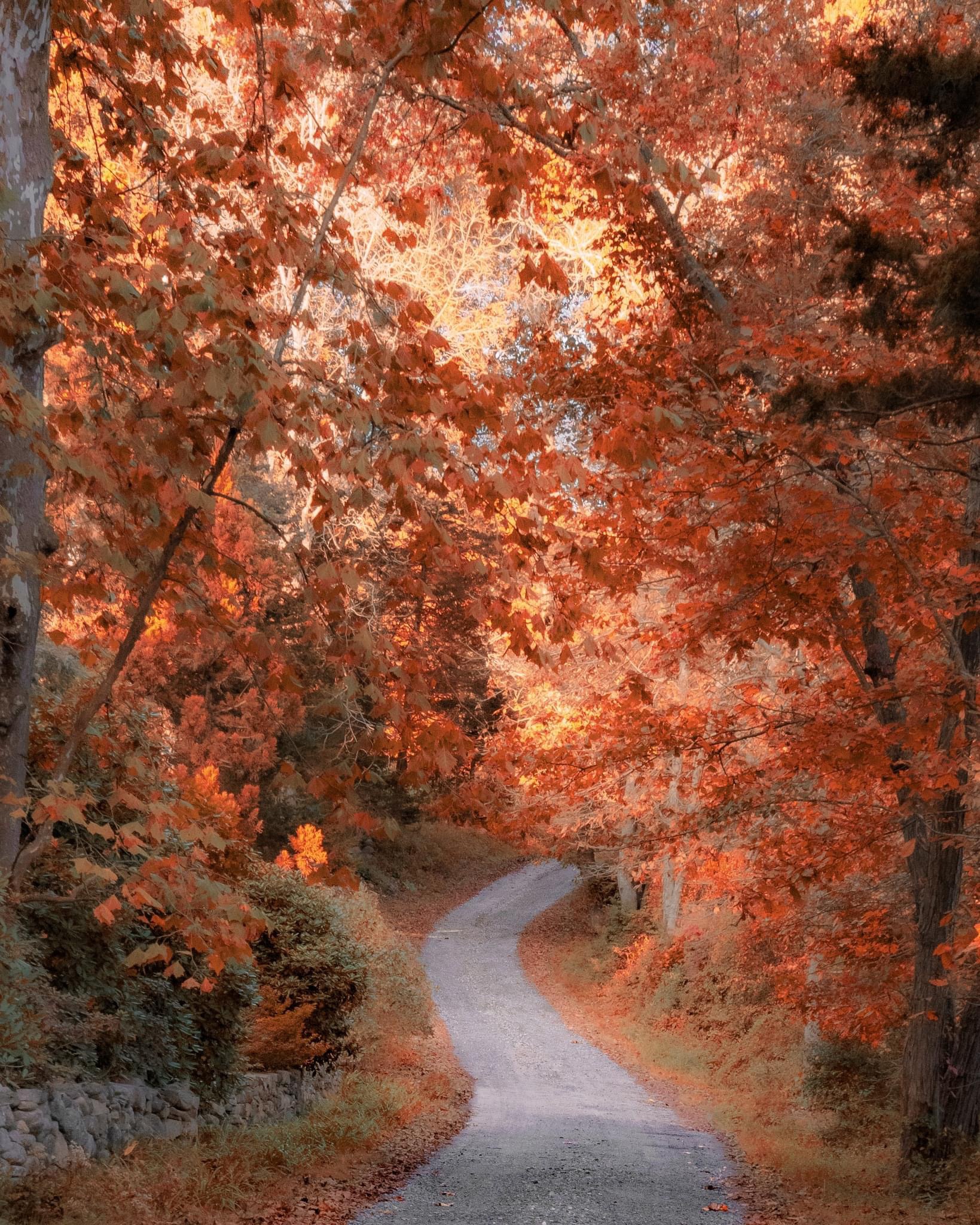 The Beauty of Autumn Unveiled