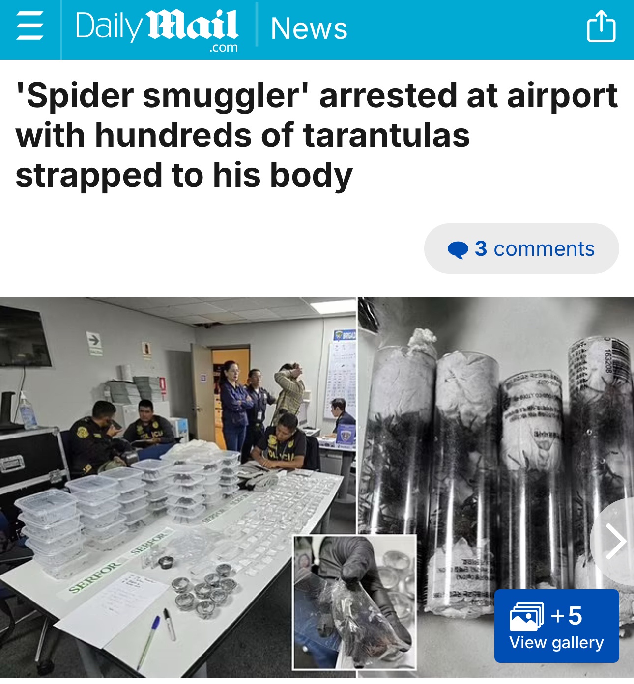 Just a Big Nope!