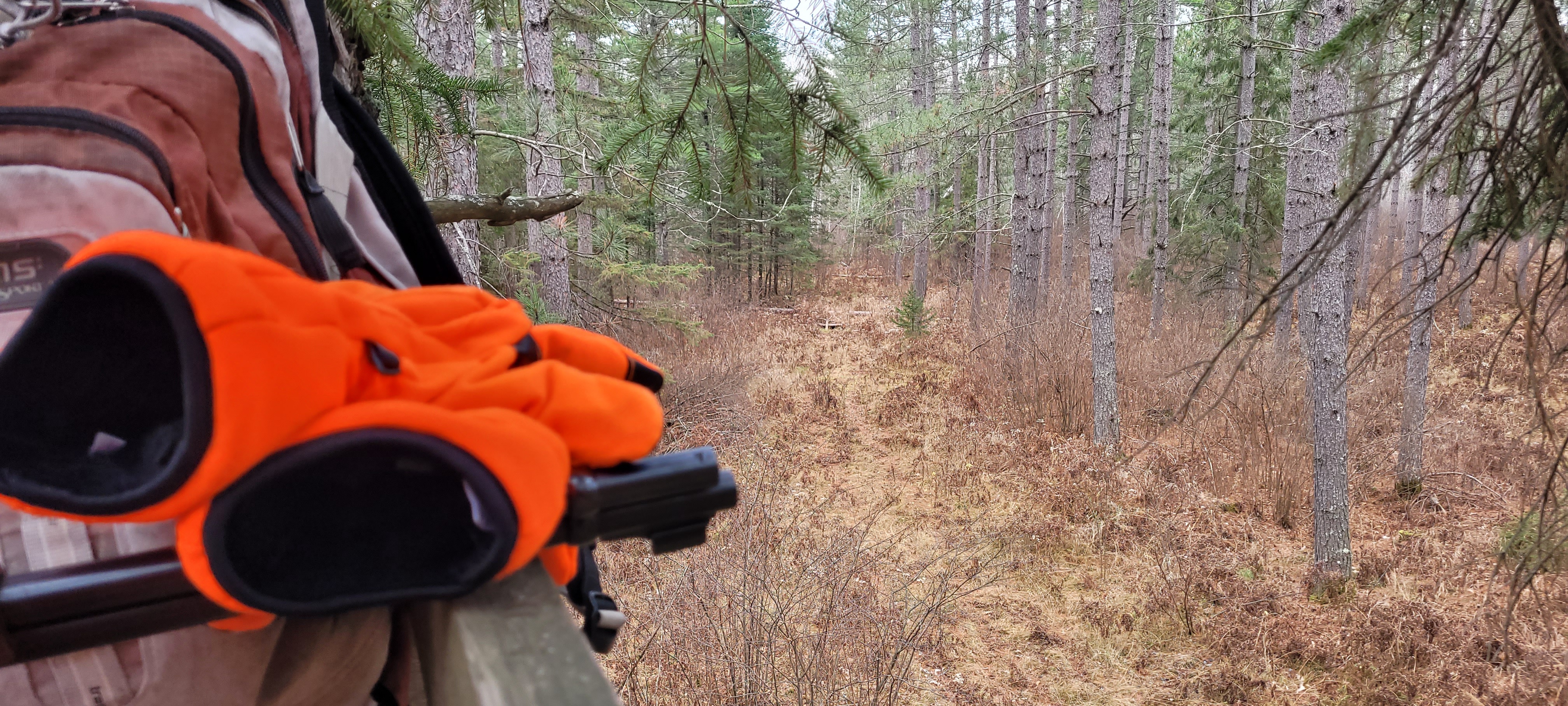 Adulting Adventures: Pirate Tree Fort vs. Grown-Up Hunting