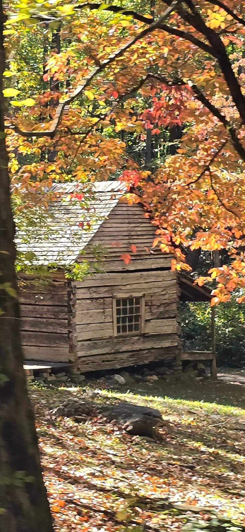 Embracing the cozy vibes of a cabin in autumn.