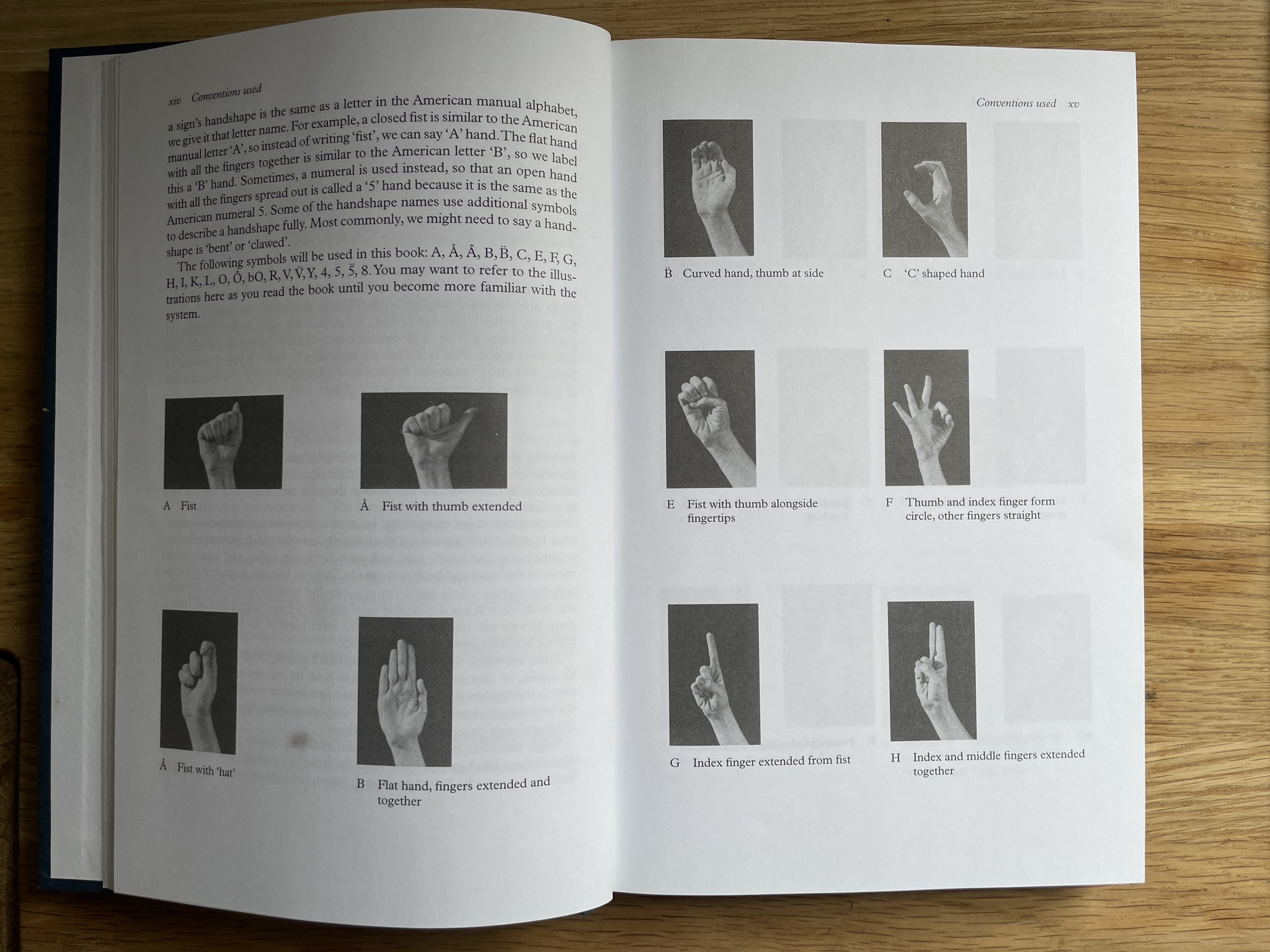 The Art of Handshapes: A Visual Journey