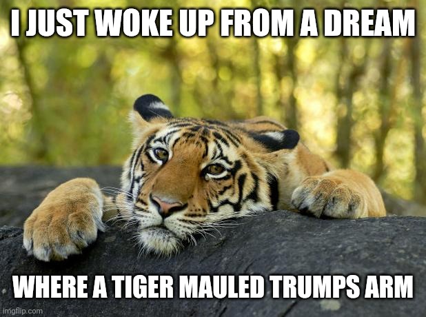 He Invited the Tiger King to His Inauguration After Granting a Pardon