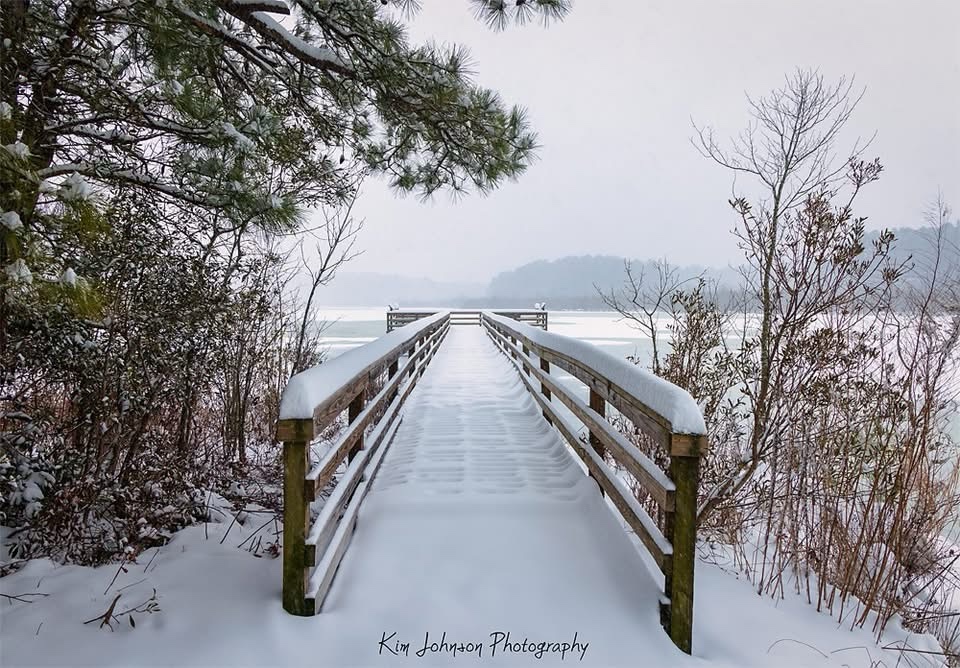 Winter Wonderland: Snow Blankets Prime Hook