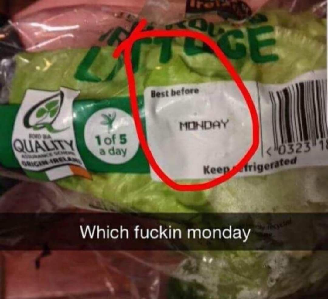 Indulge in Food, Just Avoid Mondays – They’re the Real Villains!