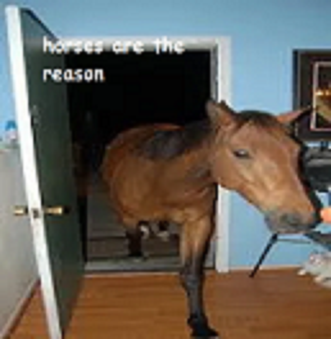 When It All Clicks: Makes Perfect Sense