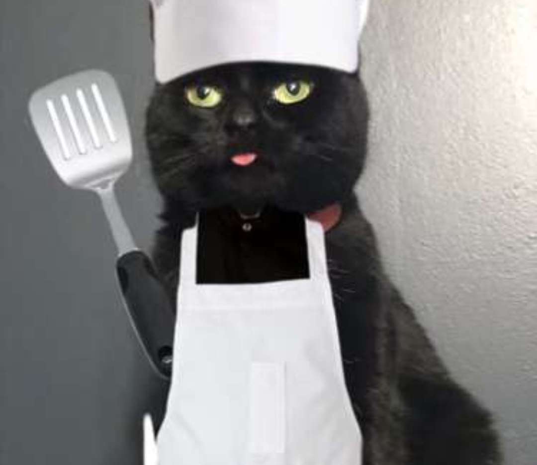 The Culinary Adventures of PisqushaChef