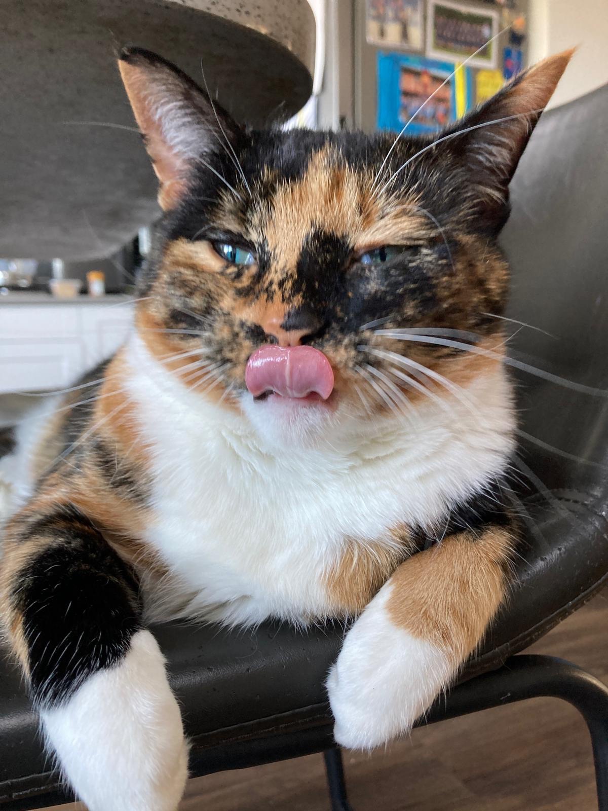 Crumble's Daily Snapshot