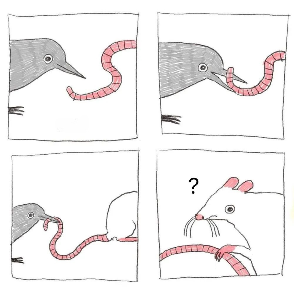 When a Mouse's Tail Resembles a Bug: Nature's Oddities