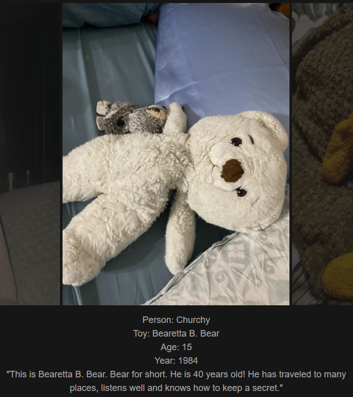 Day 776 - Join me on my website www.saidtheskinhorse.com to celebrate our cherished childhood toys! Meet Bearetta B. Bear, our latest addition!
