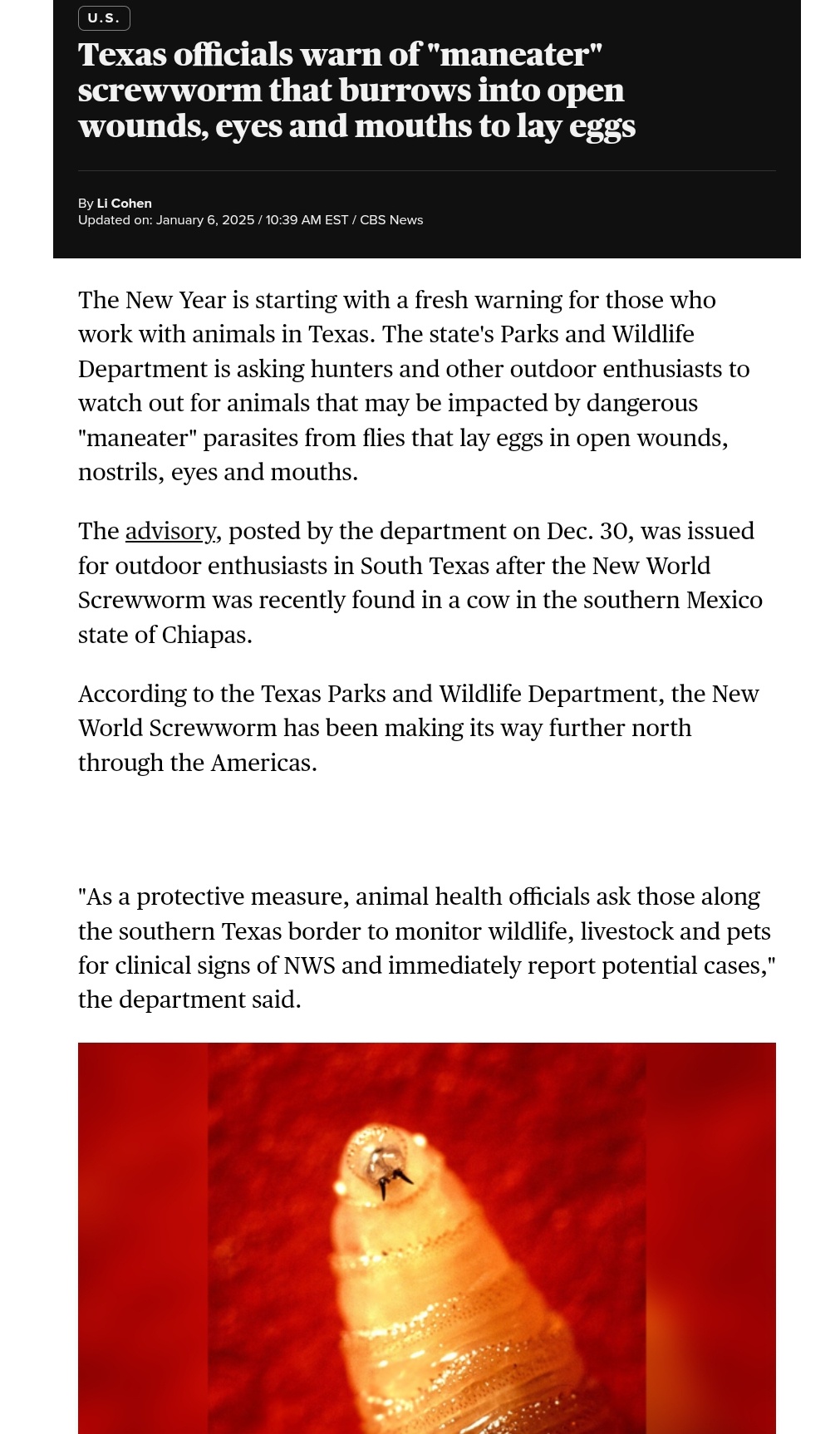 Texas Officials Issue Warning About the Creepy 'Maneater' Screwworm