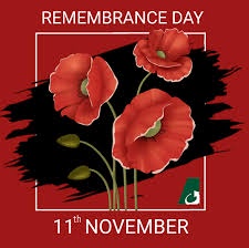 Honor the fallen: Wear a poppy if you have one