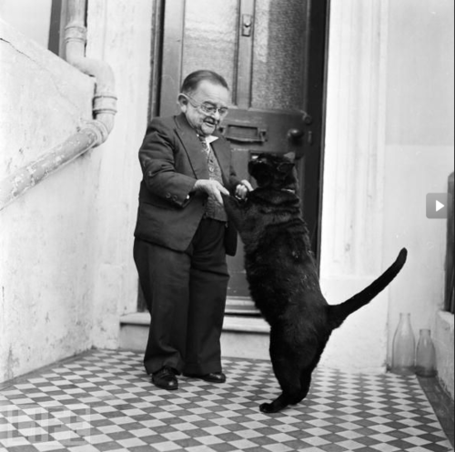 A charming snapshot of a man and his cat from 1956