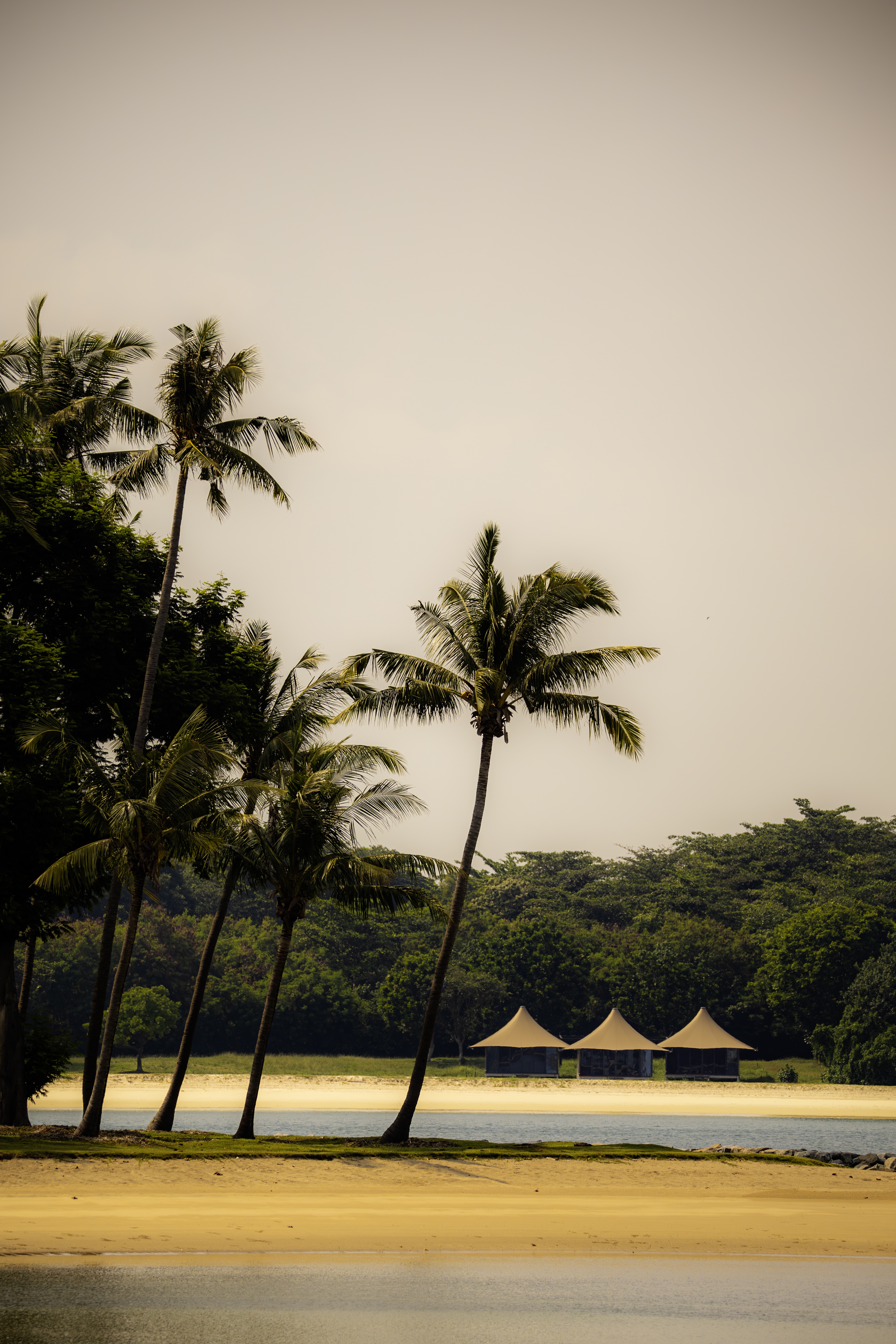Chillin' on Lazarus Island: The Ultimate Vibe
