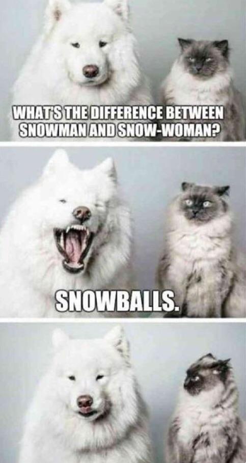 Let the snowball fight begin!