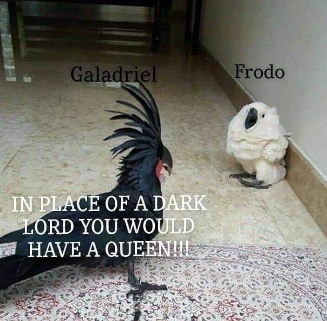 Oh no, poor Frodo is in trouble again!