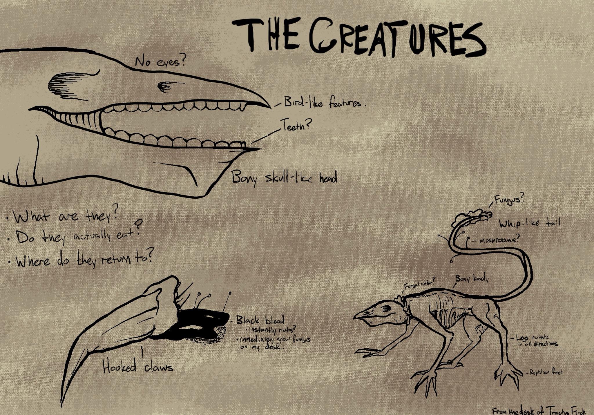 Crafting Epic Lore for My Partner's Discord RP Server