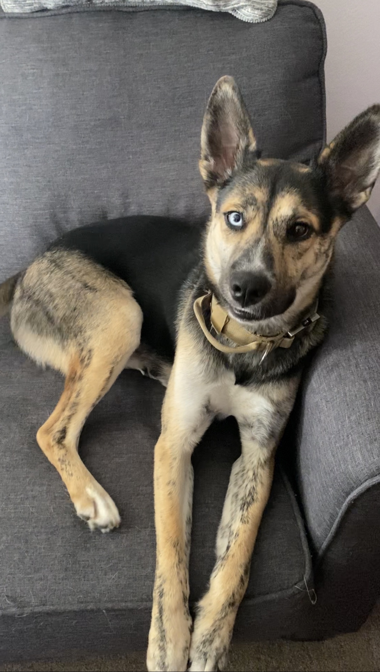 That Unique Blue and Brown Eye Staring Back at You