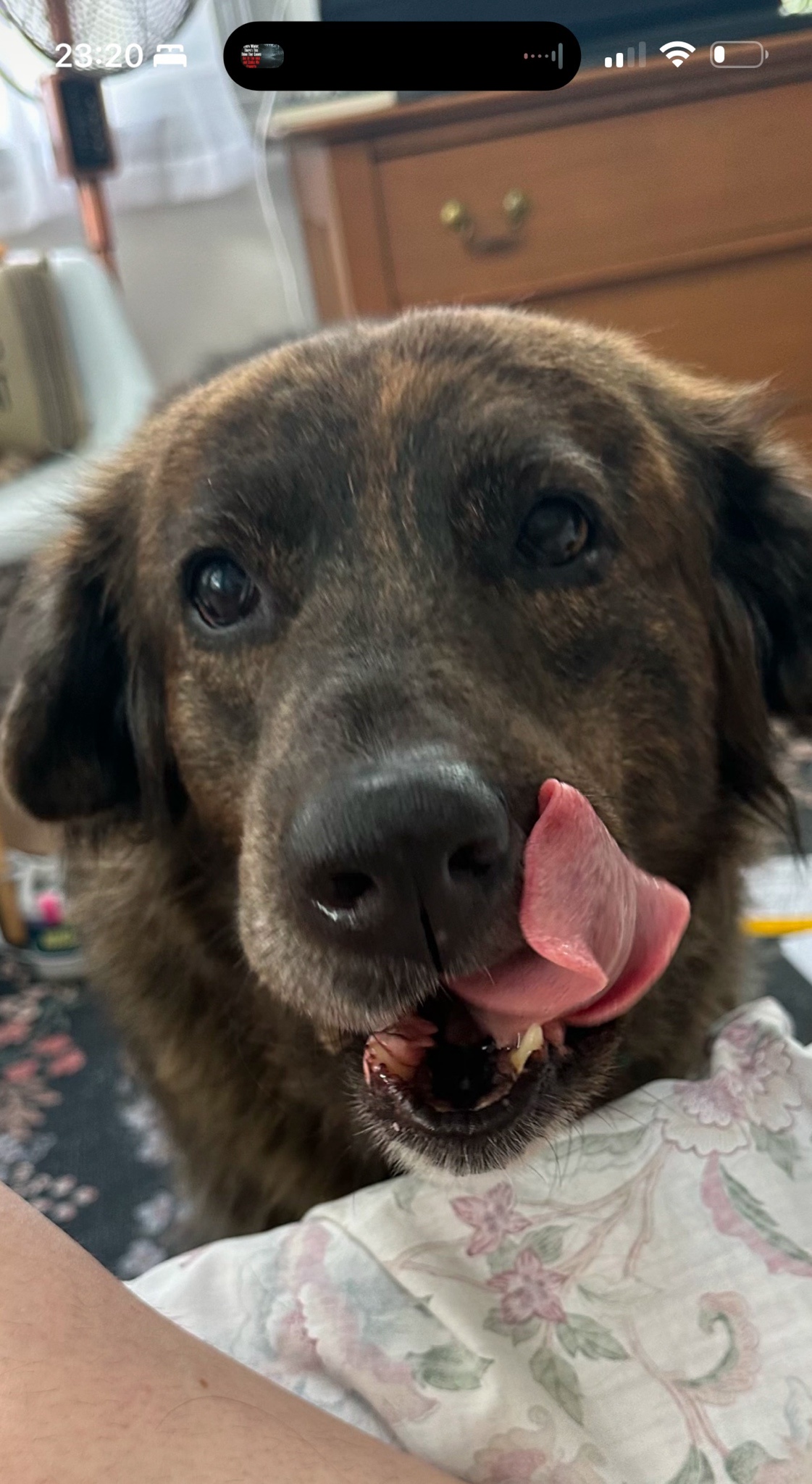 Delicious Treats Await!