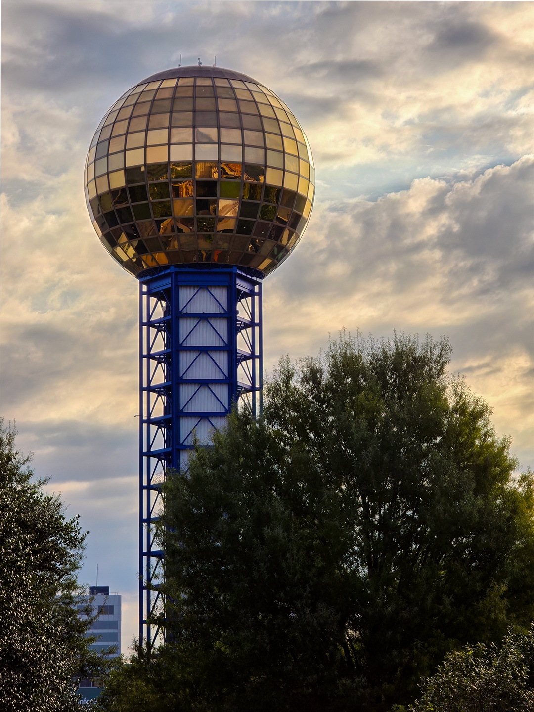 A Hidden Gem Discovered in Knoxville