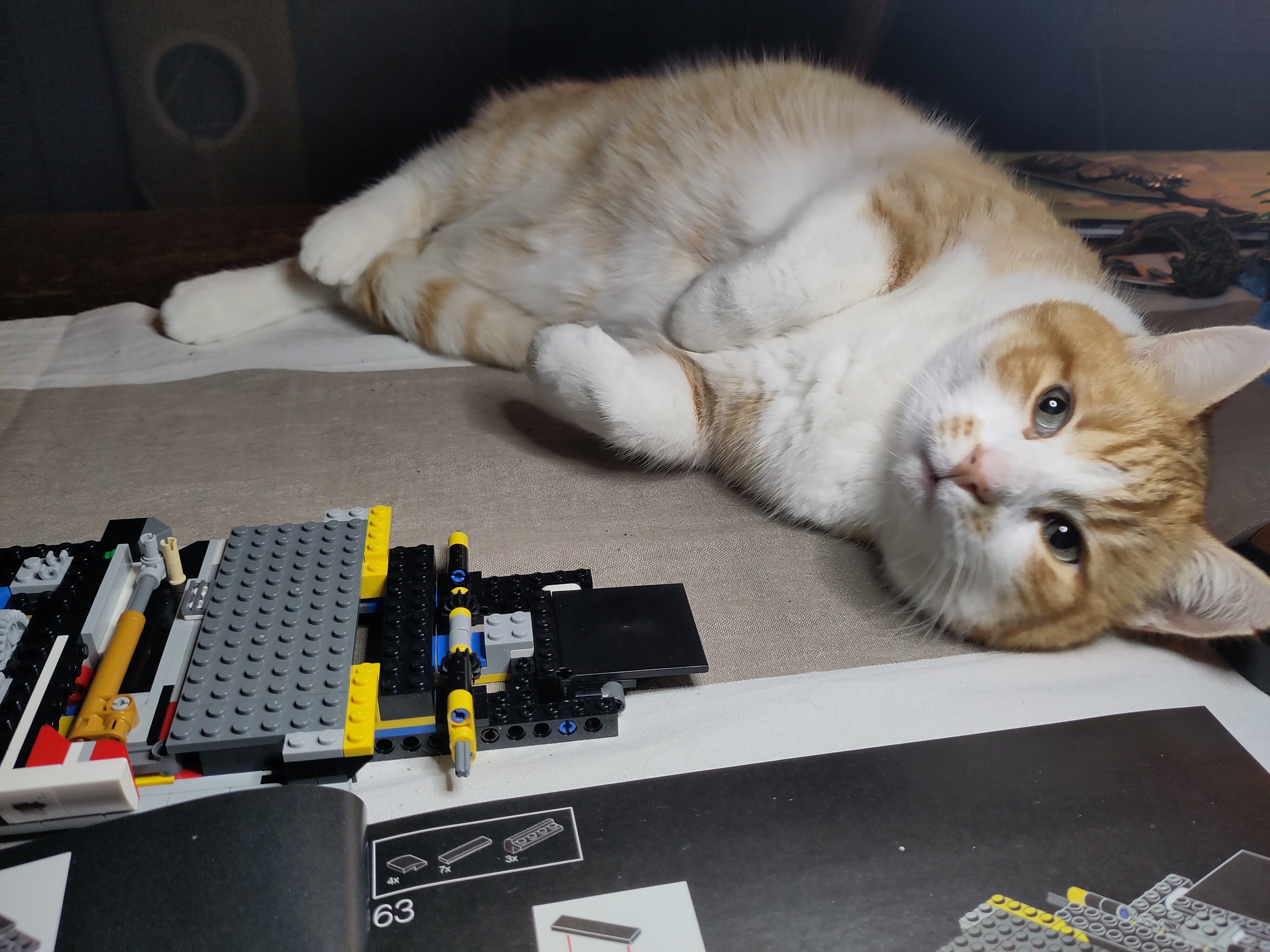 Building Lego with Ilya: A Creative Adventure
