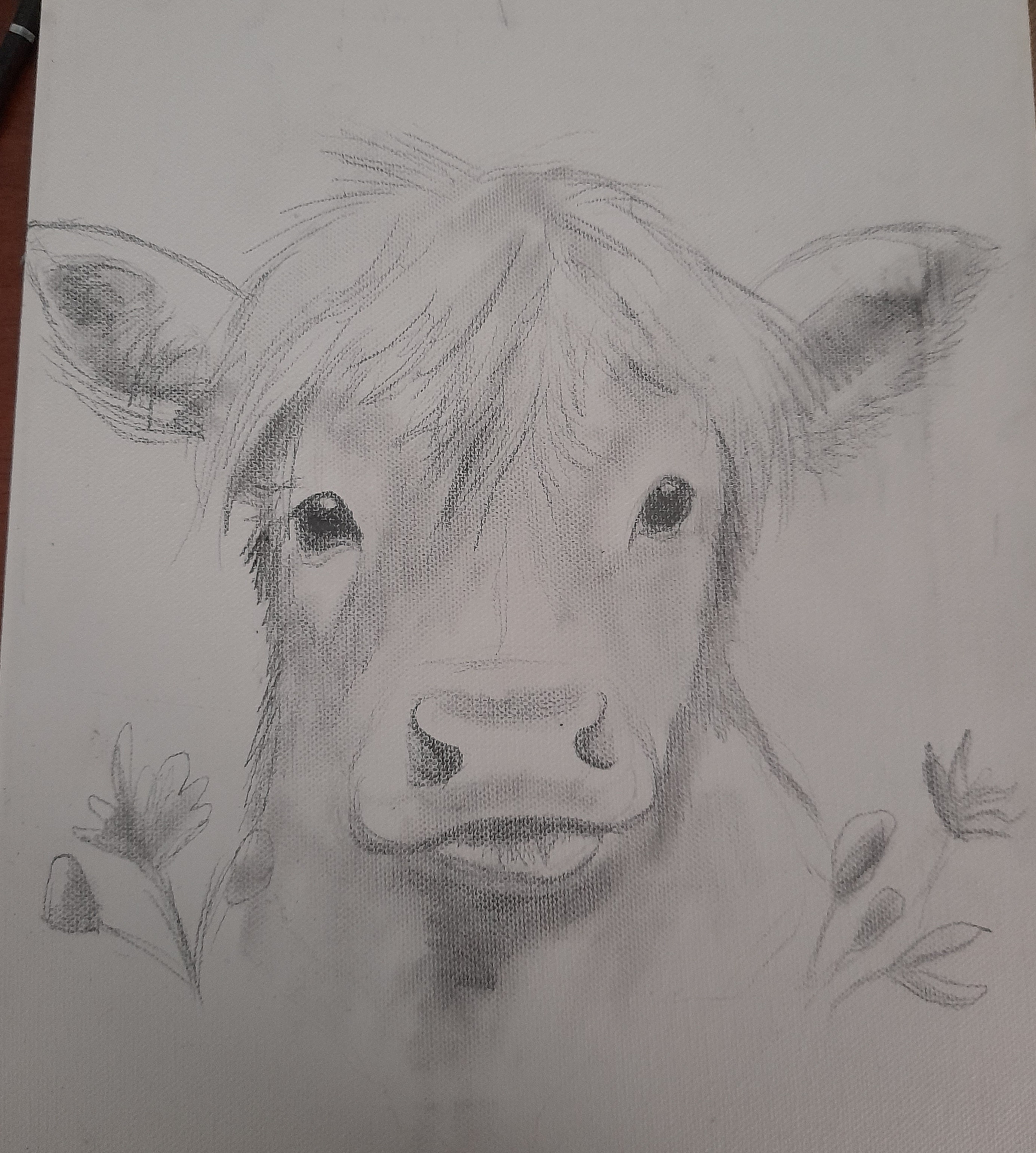 Captivating Portrait of a Highland Calf: Nature's Adorable Beauty