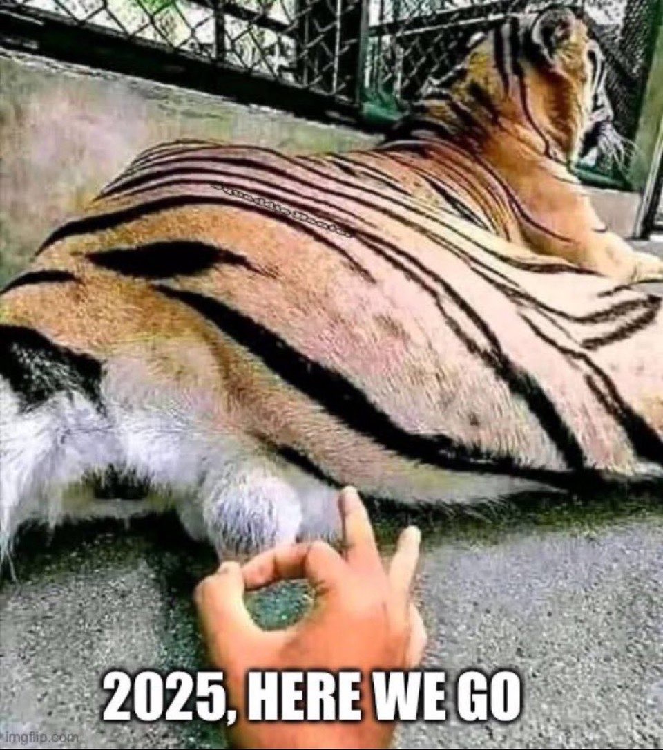 Enough About 2024, What Surprises Does 2025 Hold?