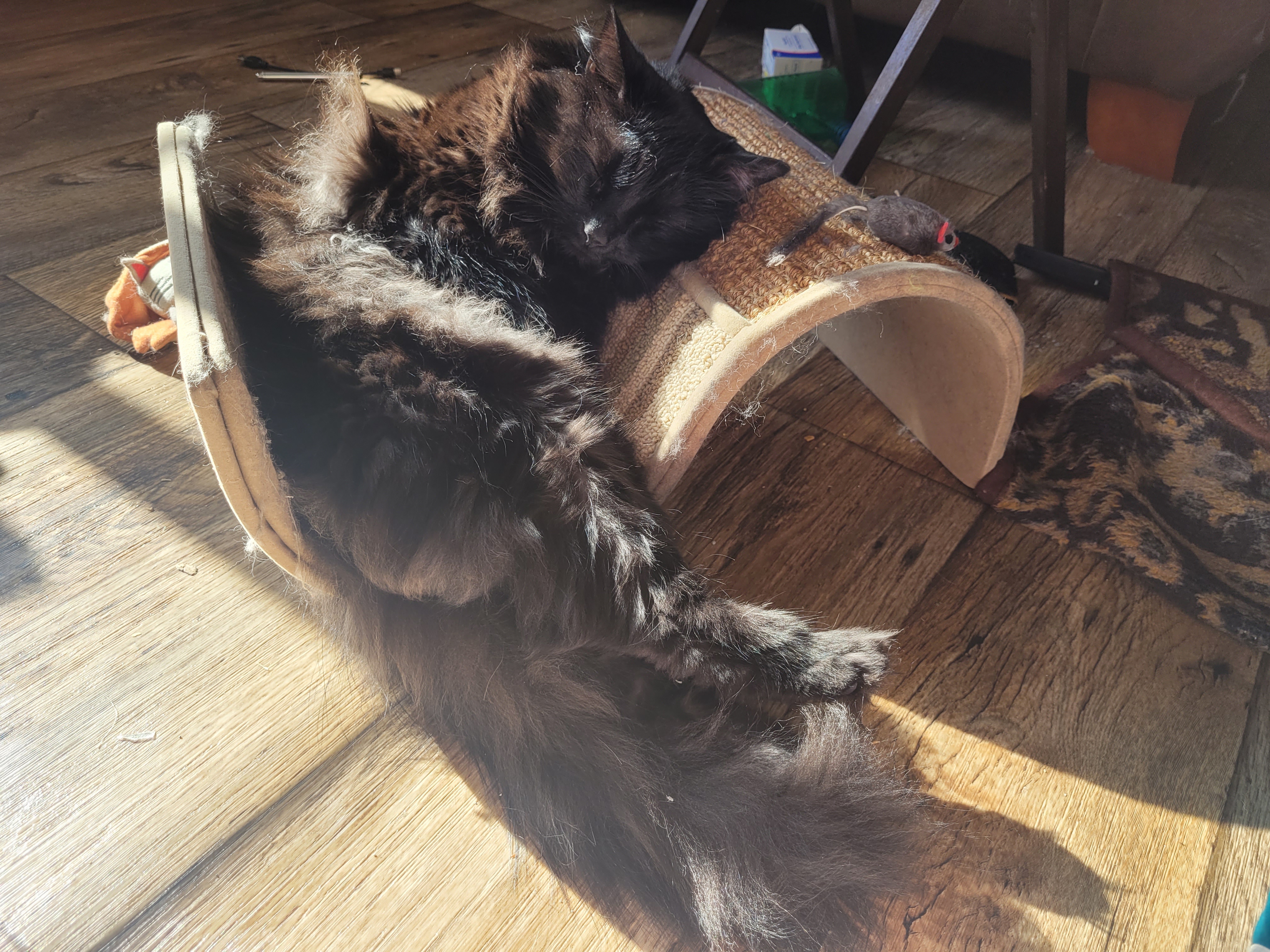The Void Devours the Sun