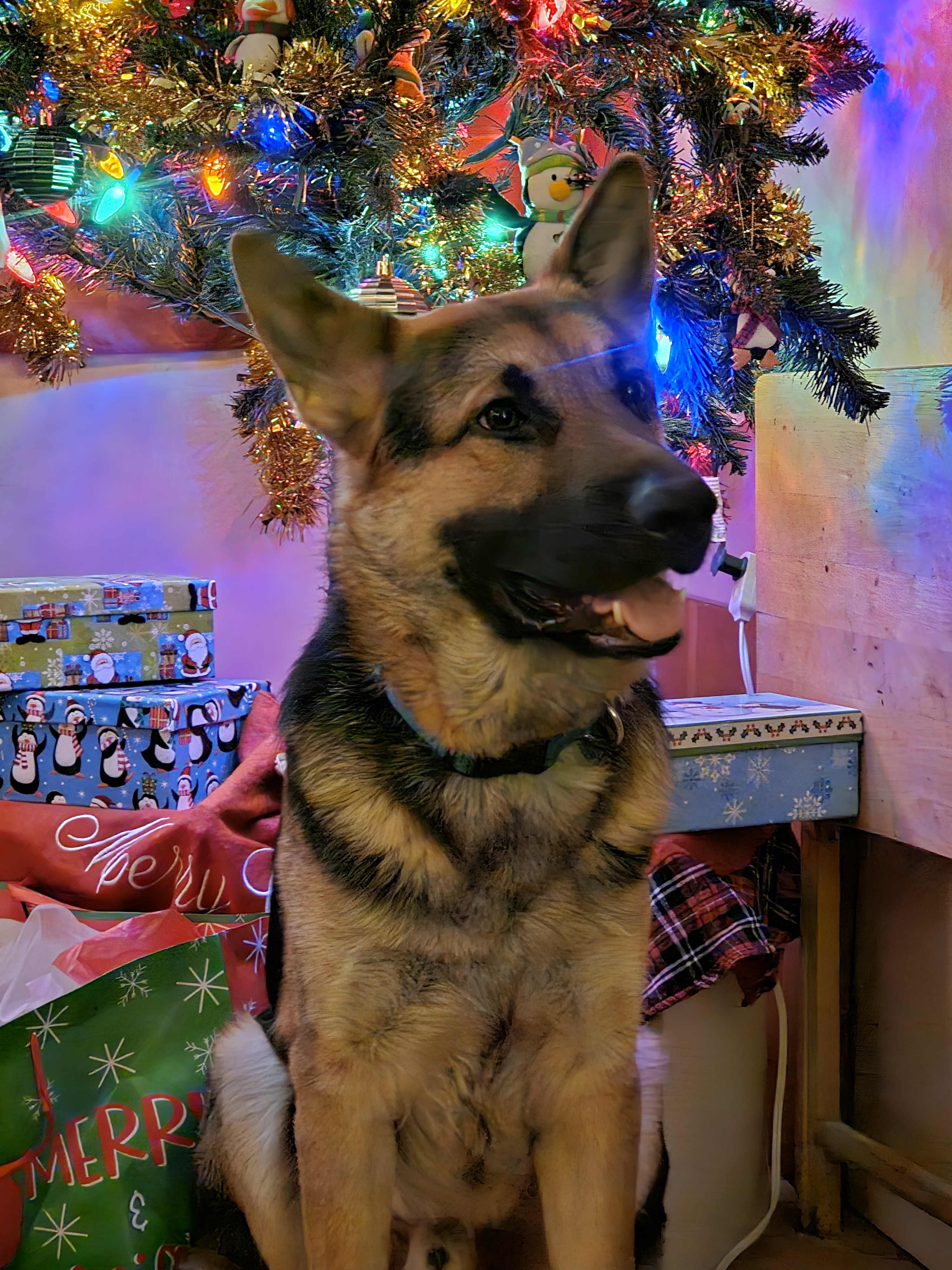 Wishing You a Merry Rex-Mas!