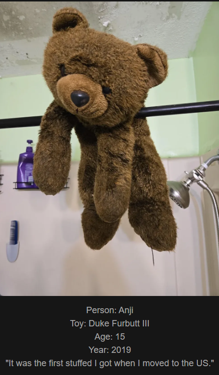 Day 786: Join Me on My Journey at www.saidtheskinhorse.com - Celebrating Our Beloved Childhood Toys with Duke Furbutt III!