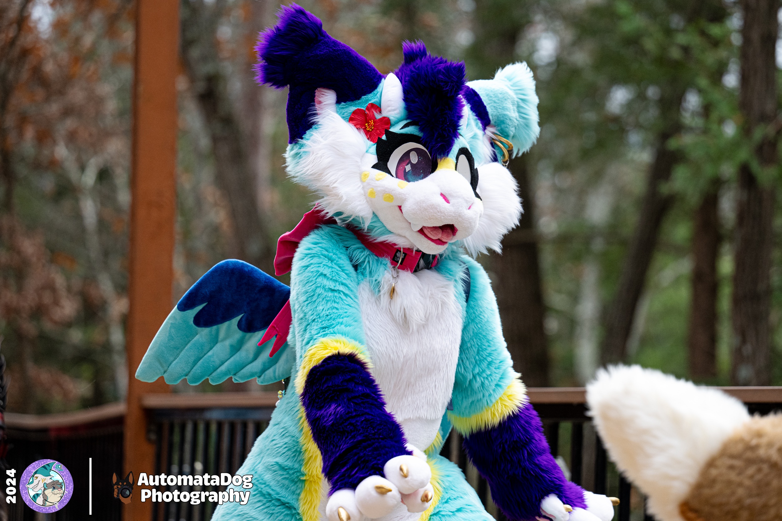 Daily Snapshot from a Furry Photographer - Day 450