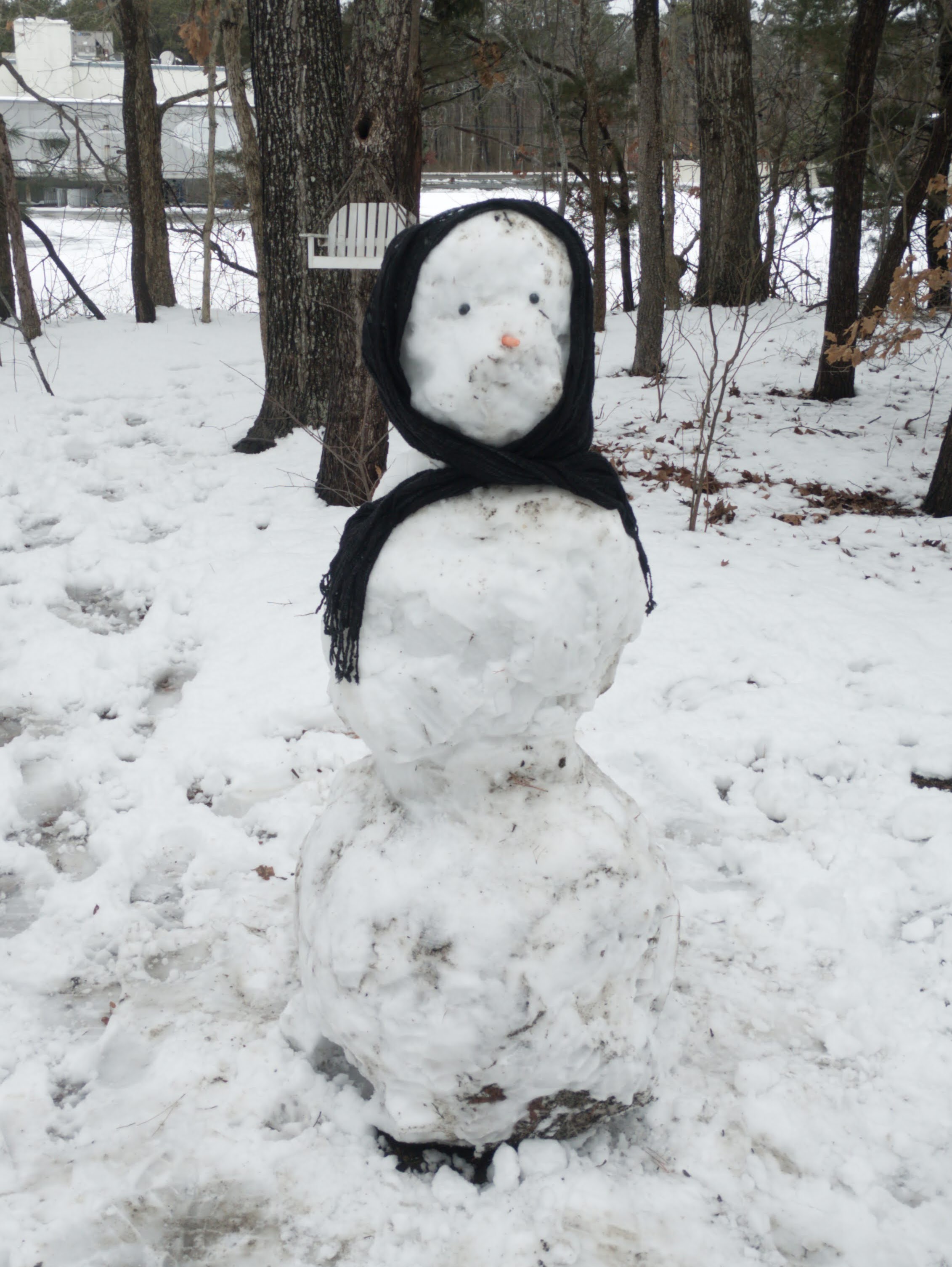 Meet the snowman of your winter dreams!