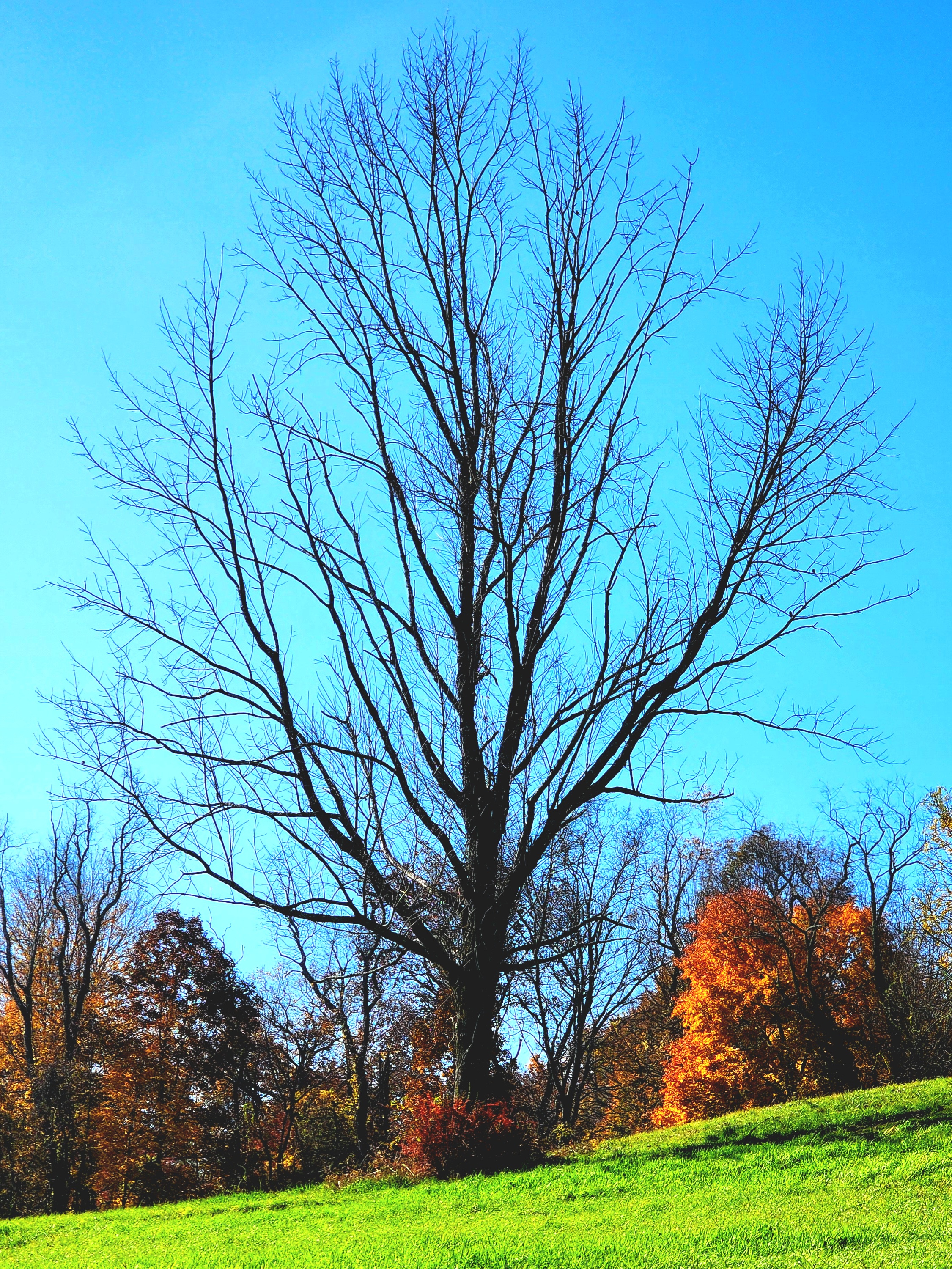 Embrace Change: Let Go of the Old and Welcome the New