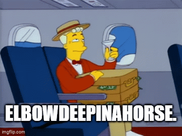 When I Realized ElbowDeepInAHorse Joined Team Acorn