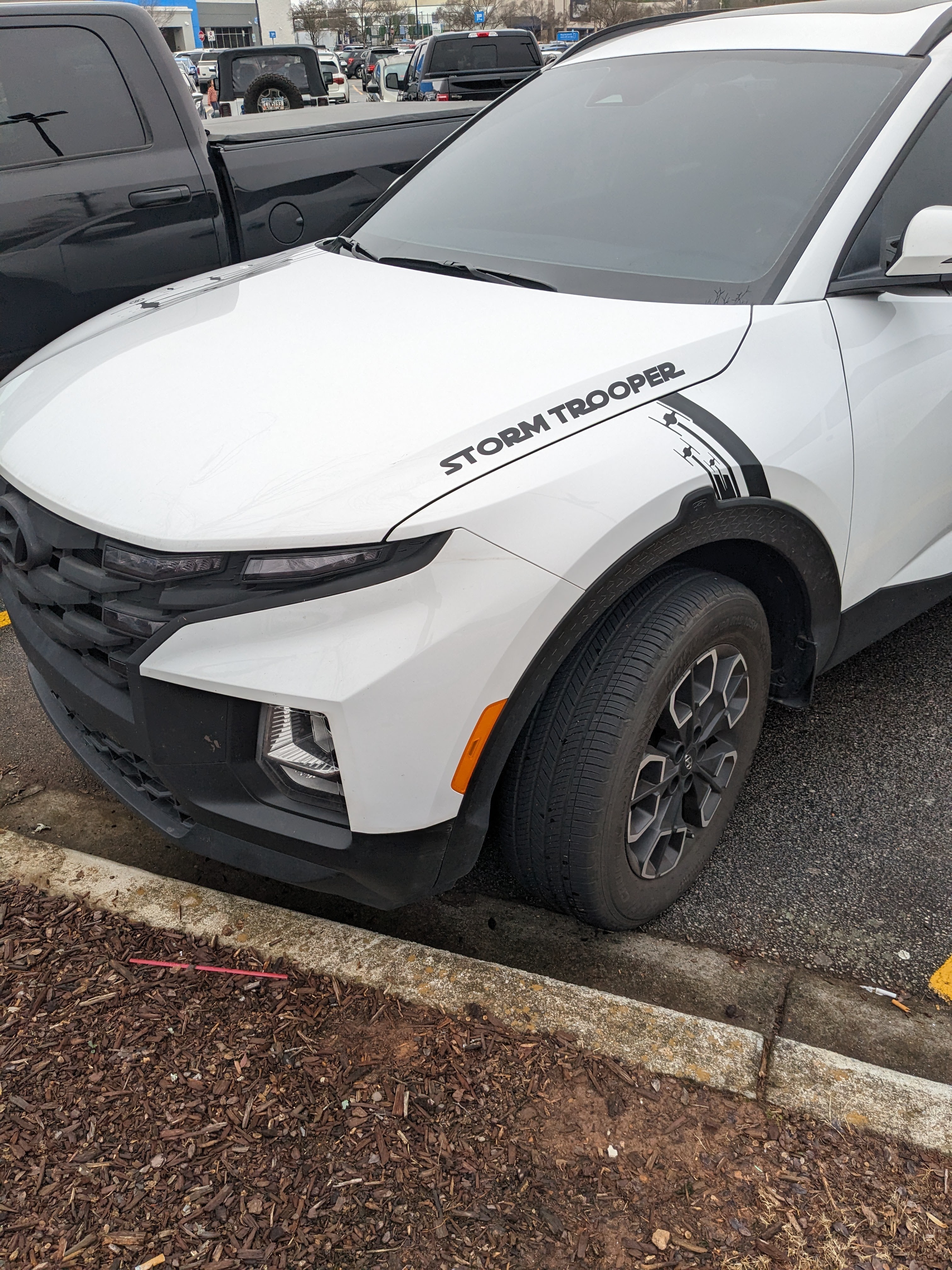 Spotted: Santa Cruz at Walmart - What a Surprise!