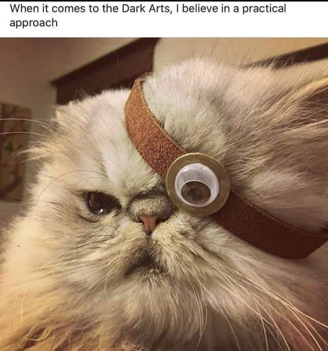 A Decent-Sized Dump of Stolen Memes for These Challenging Times 1608
