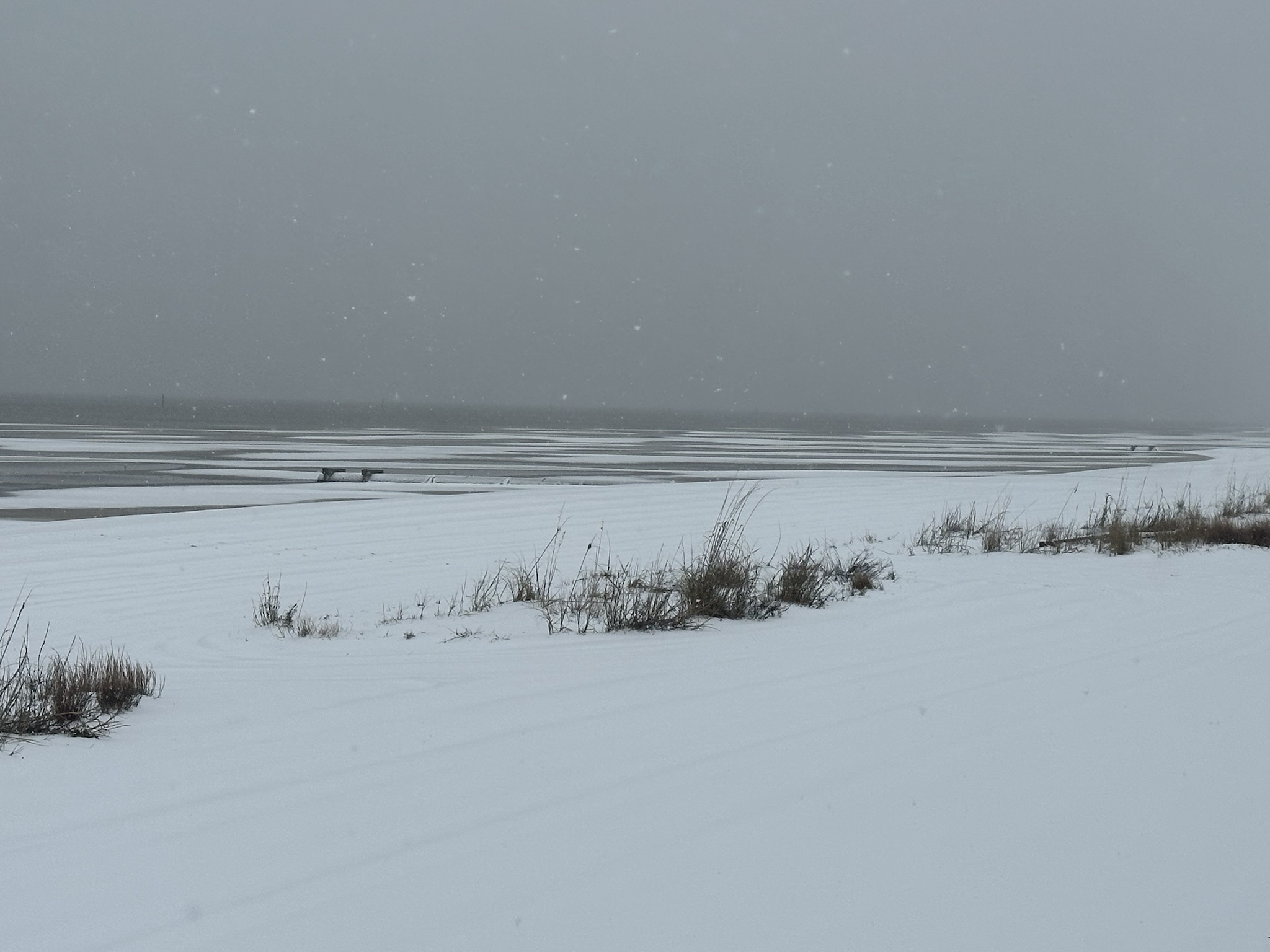 Unprecedented Snowfall Hits the MS Gulf Coast