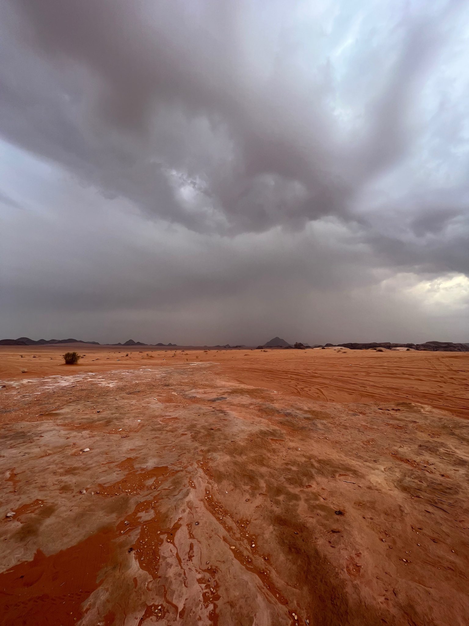 A Day in the Desert: What Could Go Wrong?