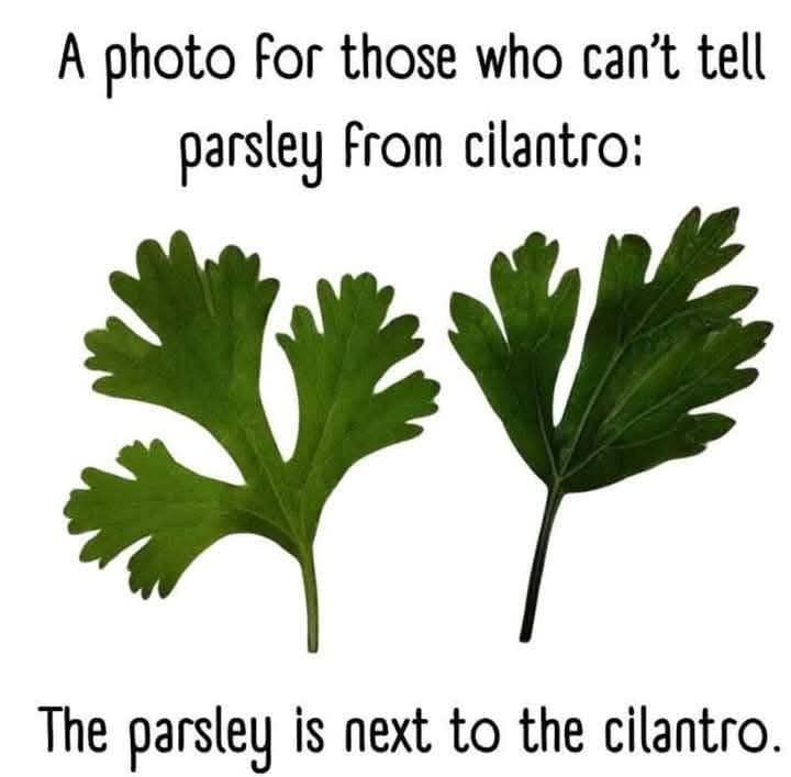 A Handy Cooking Tip You Won't Want to Miss